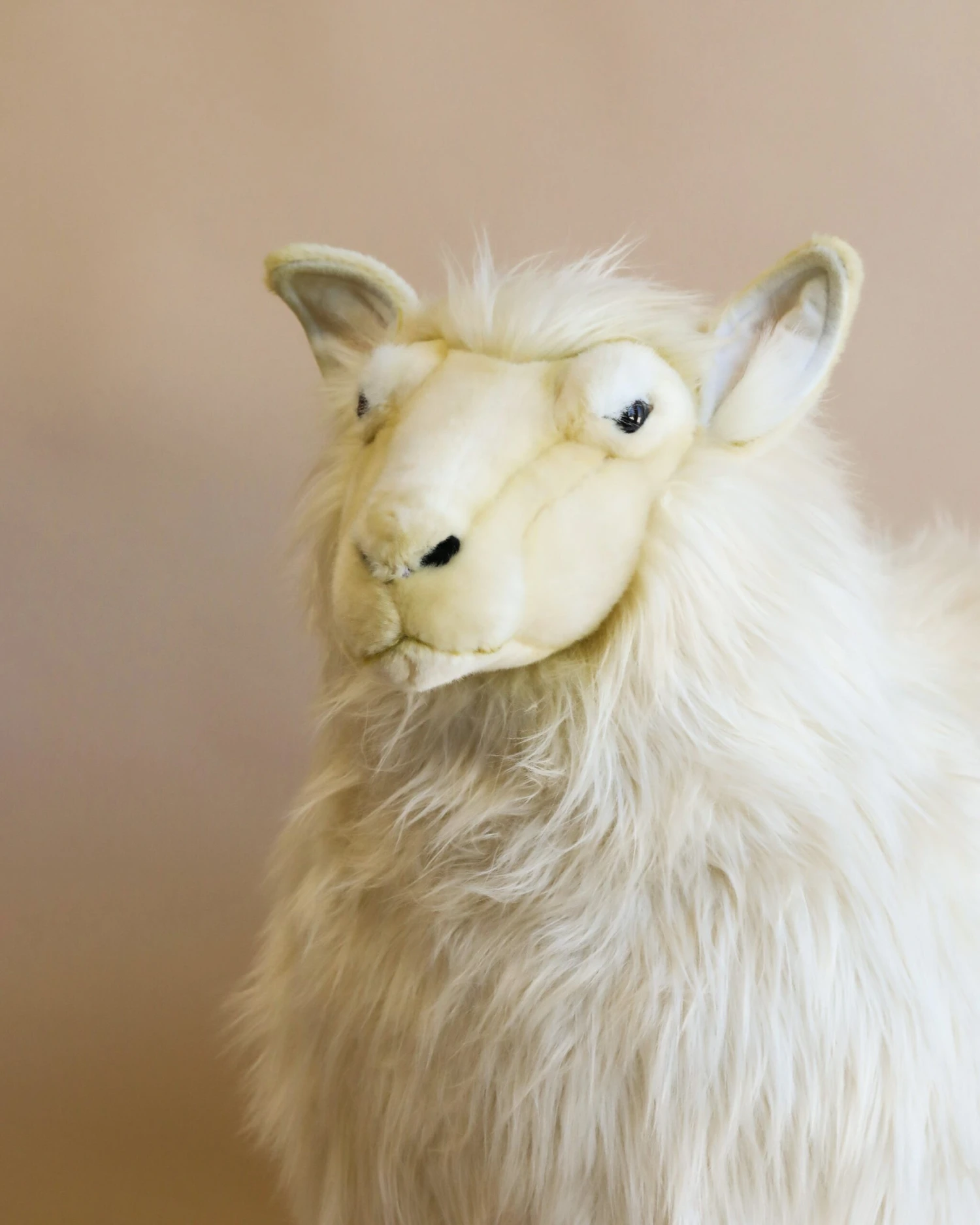 Hansa Life Size Sheep Decor - Image 2