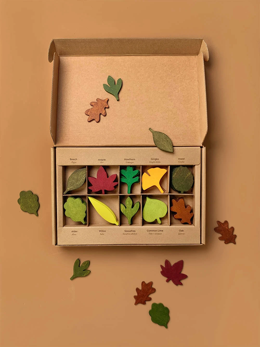 Woodland Leaves - Image 2